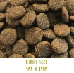 Image of Tickety Boo Sensitive Dog Food with Beef, sweet potato & carrot kibble size