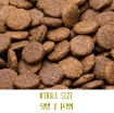 Image of Tickety Boo Sensitive Dog Food with Chicken, sweet potato & herbs kibble size