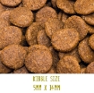 Image of Tickety Boo Sensitive Dog Food with Duck, sweet potato & orange kibble size