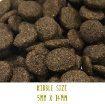 Image of Tickety Boo Sensitive Dog Food with Lamb, sweet potato & mint kibble size