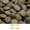 Image of Tickety Boo Sensitive Dog Food with Tuna, sweet potato & broccoli kibble size