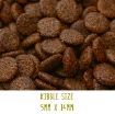 Image of Tickety Boo Sensitive Dog Food with Venison, salmon, sweet potato & mulberry kibble size