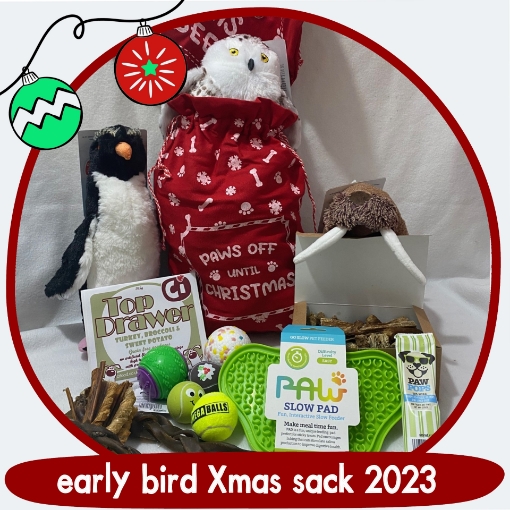 Xmas Doggy Sacks - ensemble